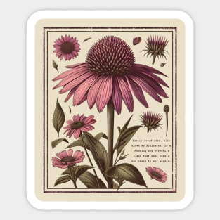 Vintage Purple coneflower Sticker